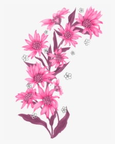 February 2016 « Archive - Edelweiss Flower Png, Transparent Png, Free Download