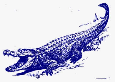 Alligator, Lying, Yawning, Blue - Alligator Black And White, HD Png Download, Free Download