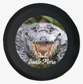 Meth Alligators, HD Png Download, Free Download