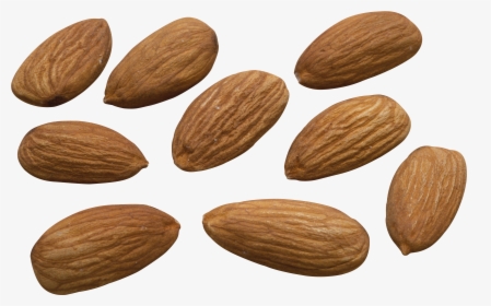 50682 - Almond High Resolution, HD Png Download, Free Download
