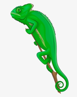 Reptiles 3d Clipart, HD Png Download, Free Download