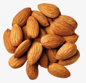 Bitter Almond, HD Png Download, Free Download