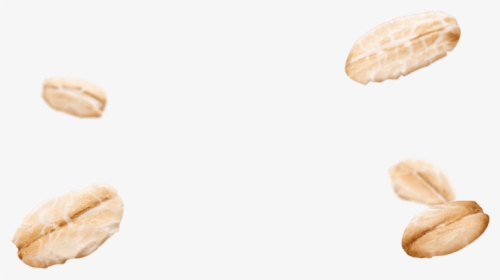 Almond - Transparent Oats Png, Png Download, Free Download