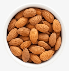 Almonds - Almond, HD Png Download, Free Download