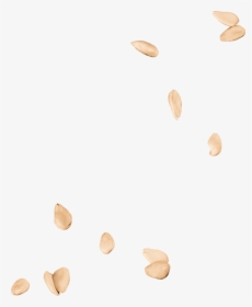 Tostate1 - Almond, HD Png Download, Free Download