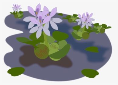 Transparent Water Clip Art - Water Hyacinth Clipart, HD Png Download, Free Download