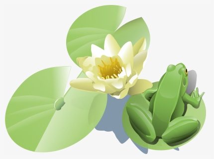Plant,flora,petal - Lily Pad Clip Art, HD Png Download, Free Download