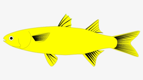 Tuna, HD Png Download, Free Download