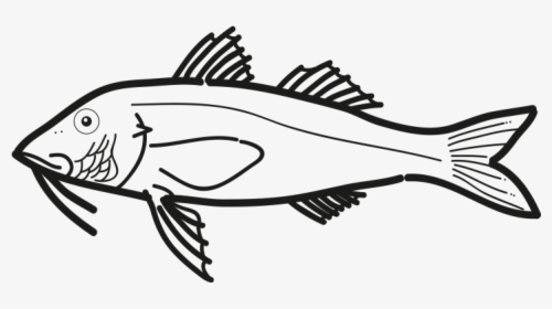 Salmonete Pseudupeneus Prayensis Frioantartic - Ray-finned Fish, HD Png Download, Free Download