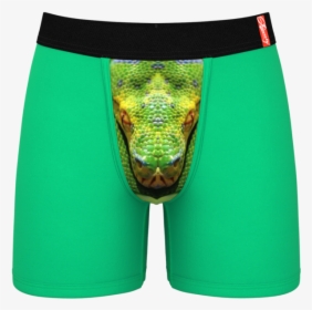 Green Snake Ball Hammock Boxer Briefs - Best Funny Underwear Men, HD Png Download, Free Download