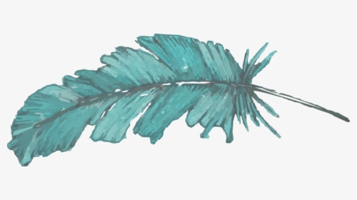 Transparent Watercolor Feather Png - Pond Pine, Png Download, Free Download