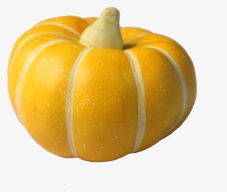Pumpkin Calabaza Gourd Winter Squash - Pumpkin, HD Png Download, Free Download
