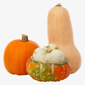 Hard Squash - Winter Squash, HD Png Download, Free Download