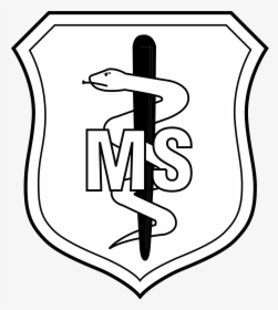 Clipart Royalty Free Badge Svg - Air Force Nurse Badge, HD Png Download, Free Download