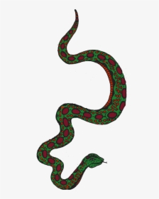 Snake Png, Transparent Png, Free Download