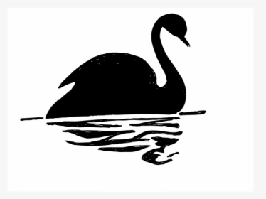 Black Swan Black Swan Fans Png Image Clipart - Black Swan Silhouette, Transparent Png, Free Download