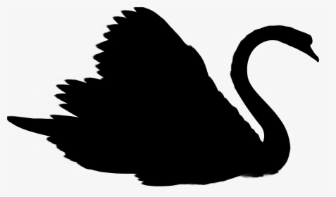 Duck Swans Goose Clip Art Silhouette - Illustration, HD Png Download, Free Download