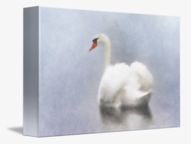 Transparent Swan Png - Swan, Png Download, Free Download
