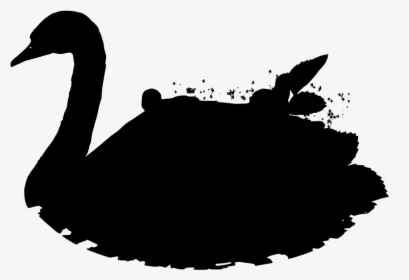 Black Swan, HD Png Download, Free Download