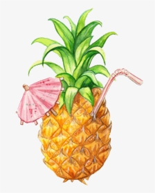 Pineapple Illustration, HD Png Download, Free Download