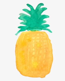 Pineapple Drawing Watercolor Painting - Watercolor Pineapple Drawing Png, Transparent Png, Free Download