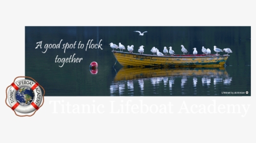 Lifeboat Gull Masthead With Logo 6 A Compressed - Reflection, HD Png Download, Free Download
