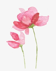 Flor Aquarela Rosa Png, Transparent Png, Free Download