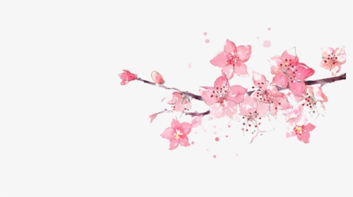 Flower Pink Watercolor Painting Illustration - Transparent Cherry Blossom Flowers Watercolor, HD Png Download, Free Download