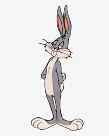 Transparent Bugs Bunny Clipart - Bugs Bunny Y Lola Bunny, HD Png Download, Free Download