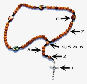 Therosary - Necklace, HD Png Download, Free Download