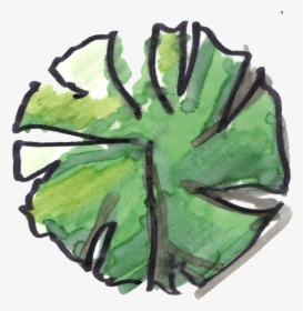 Top View Sketch Tree Png, Transparent Png, Free Download