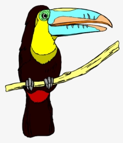 Perched Toucan Svg Clip Arts - Transparent Background Toucan Clipart, HD Png Download, Free Download