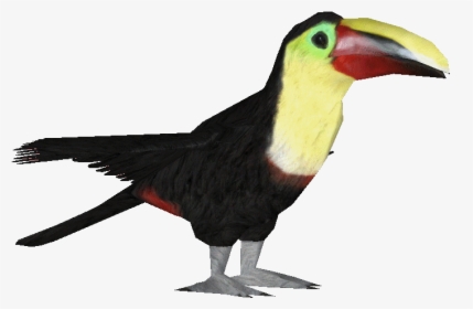Toucan - Transparent Flying Toucan, HD Png Download, Free Download