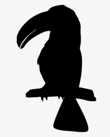 Bird Toucan Silhouette, HD Png Download, Free Download