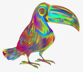 Bird,toucan,piciformes - Toucan, HD Png Download, Free Download