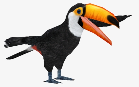 Tocotoucanad - Toucan, HD Png Download, Free Download