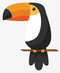 Clip Art Bird Toco Toucan Drawing - Tucano Gif, HD Png Download, Free Download