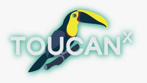 It"s A Jungle Out There - Toucan, HD Png Download, Free Download