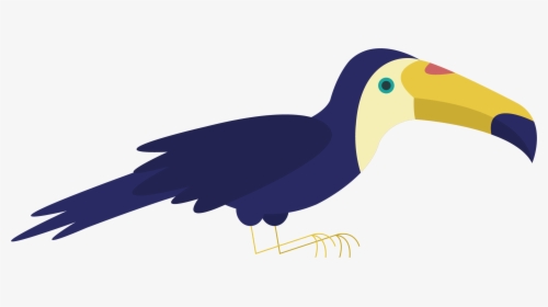 Bird Parrot Toucan Wildlife - Rallidae, HD Png Download, Free Download