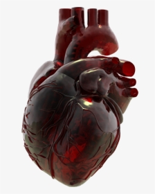 Blown Glass Human Heart, HD Png Download, Free Download