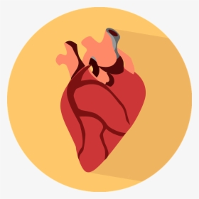 Heart, Body, Human, Organ, Button, Icon - Human Heart Icon Png, Transparent Png, Free Download