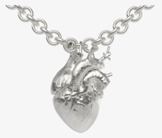 The Anatomical Heart - Stylish Letter, HD Png Download, Free Download