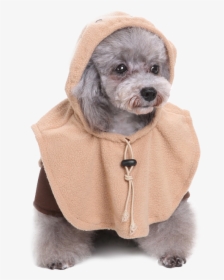 Star Wars Ewok Dog Costume - Dog Costume Transparent Background, HD Png Download, Free Download
