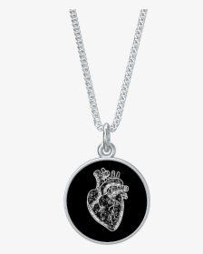 Anatomical Heart Coin Pendant On Chain - Locket, HD Png Download, Free Download