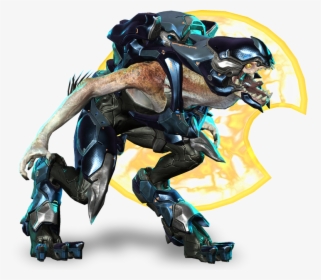 No Caption Provided - Halo 4 Jackal, HD Png Download, Free Download