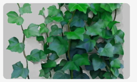 Vines, Climbing Plant Doormat 30"x18" - Png Climbing Vines, Transparent Png, Free Download