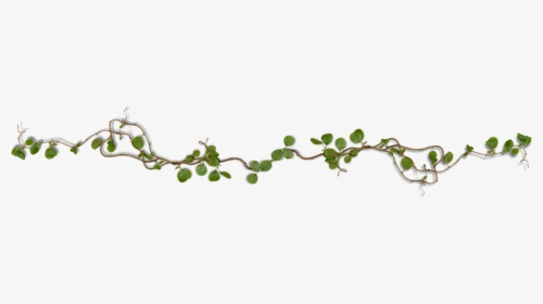 Twig, HD Png Download, Free Download