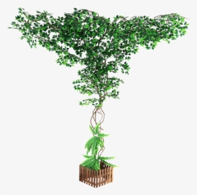 Decorative Fake Wall Tree, HD Png Download, Free Download