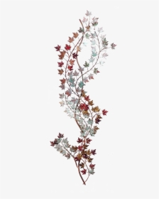Wall Vines Png, Transparent Png, Free Download