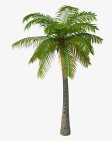 Fortnite Palm Tree Exploring Mars - 3d Palm Tree Png, Transparent Png, Free Download